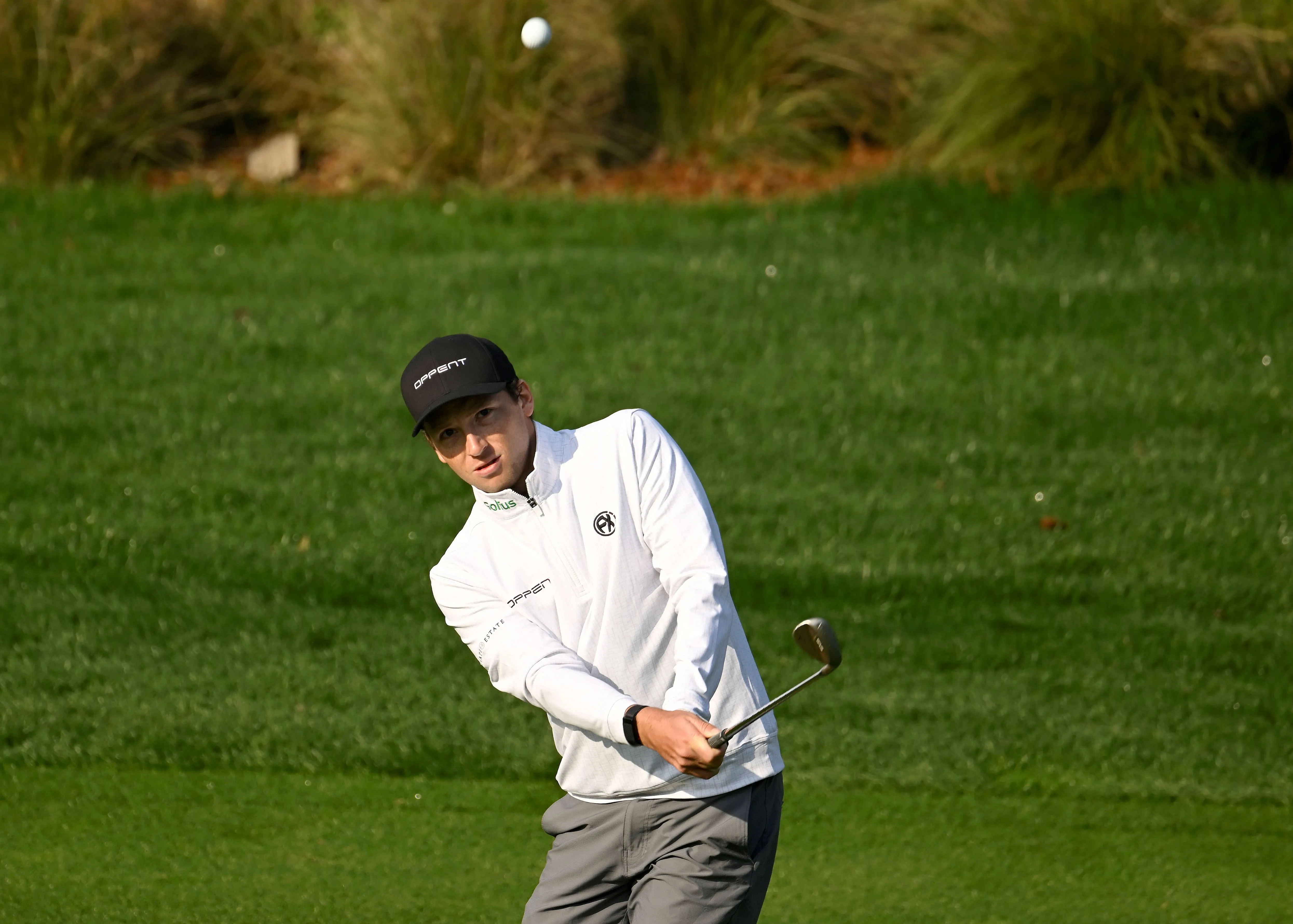 __wf_reserved_inherit