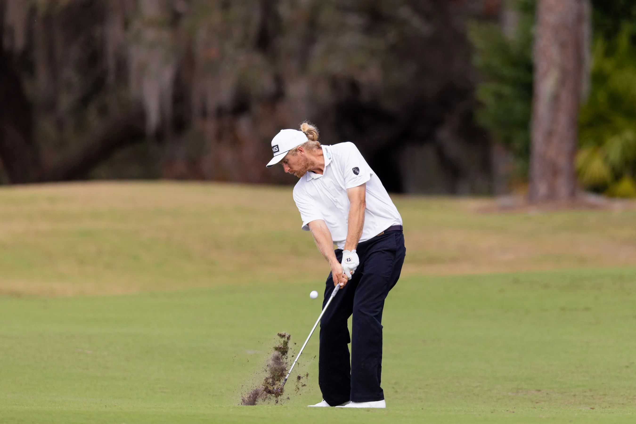 __wf_reserved_inherit